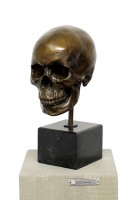 Bronze Skull - Modern Art Sculpture - signed A. Stevens