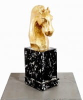 Golden Horse Head made of Fiberglass - Noble Ross - Martin Klein